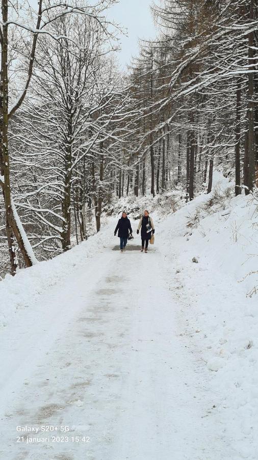 Vakantiehuisje Winterberg Extérieur photo