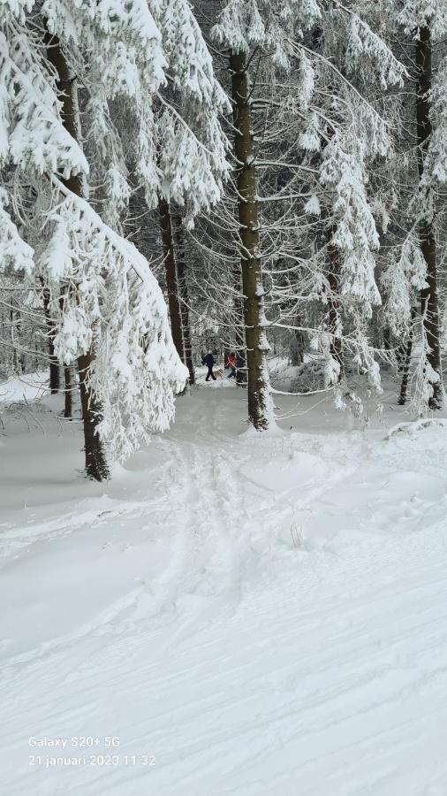 Vakantiehuisje Winterberg Extérieur photo
